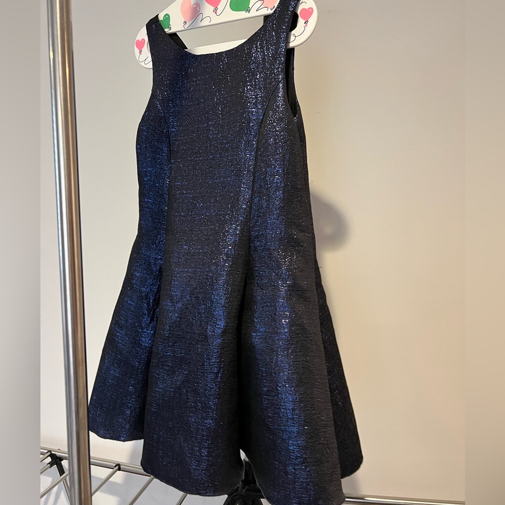 Zoe LTD navy dress w gold zipper